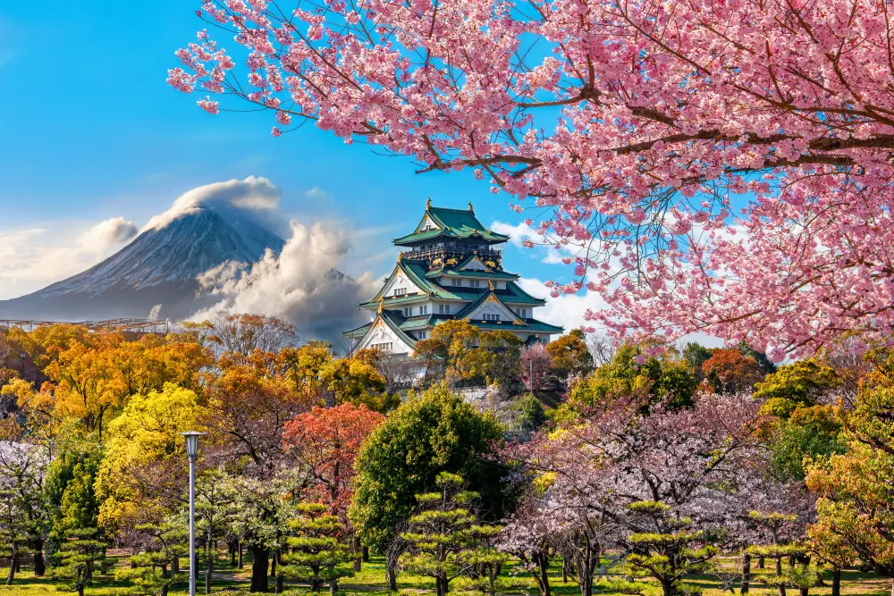 Cheap flights to Osaka - Book your flights to Osaka now!