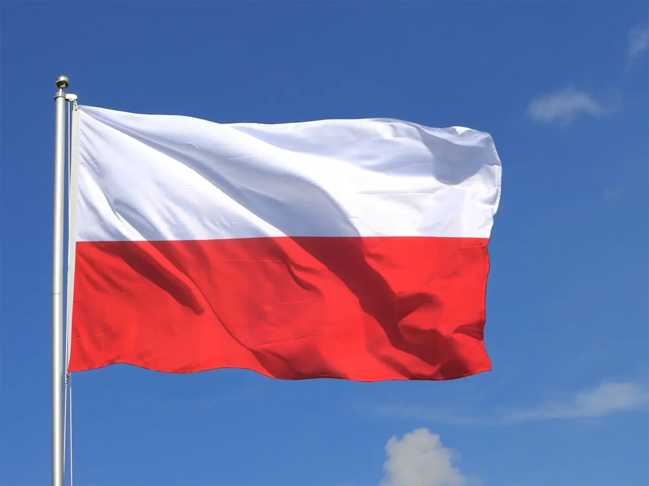 poland flag - flag of poland